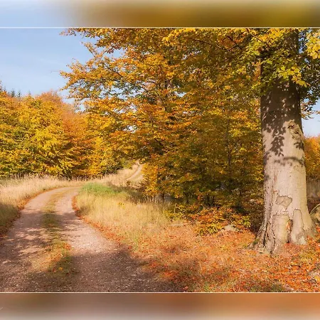 Appartement Mueritzfrische 1 *